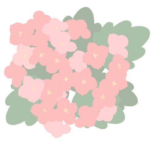 カランコエの花